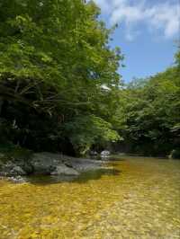 Martvili Canyon is Straight-Up Magical