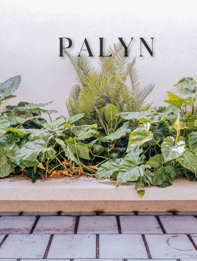 Palyn Café – แสมสาร 