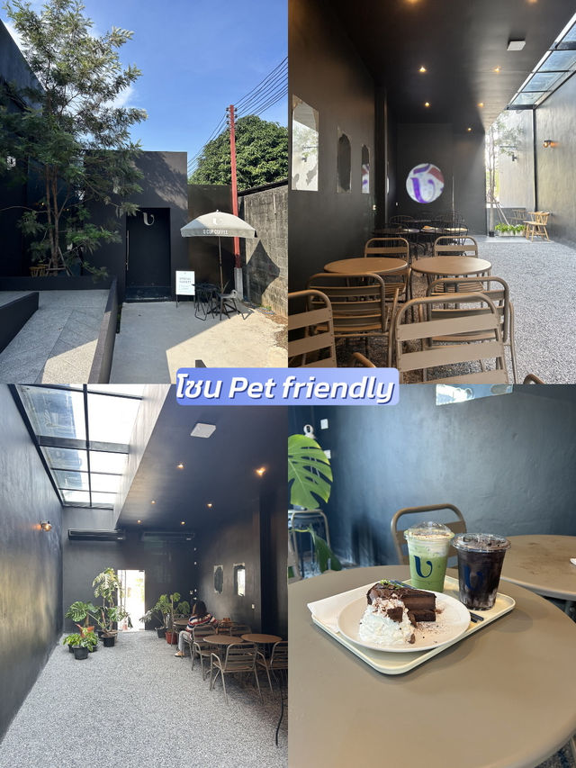 🐶สายคาเฟ่ + เพ็ทเลิฟเวอร์ ต้องไป U Cup Maptaphut☕️