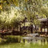 Solo Serenity at Wolhwawon Garden: Seoul’s Secret Chinese Oasis** 🌸🏯  