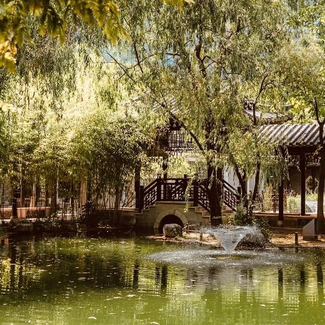 Solo Serenity at Wolhwawon Garden: Seoul’s Secret Chinese Oasis** 🌸🏯  