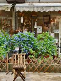 Changsha’s Most Photogenic Street | Fengying Xili