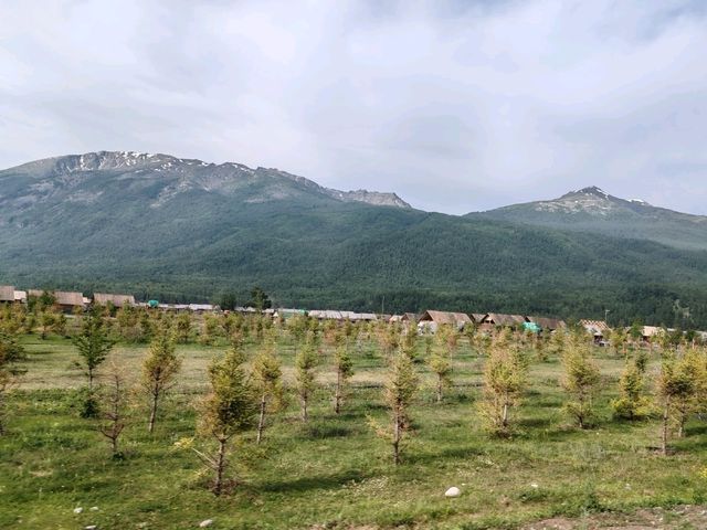 Beautiful Guanyutai: Wildflowers in Bloom