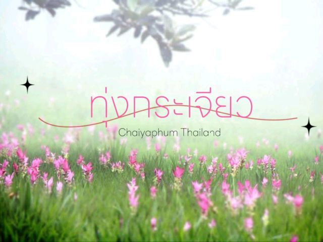 ทุ่งดอกกระเจียว ชัยภูมิ