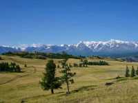 Mountains, Meadows & Endless Views. Strolling the Chuysky Trakt