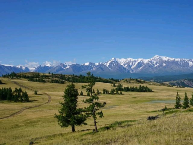 Mountains, Meadows & Endless Views. Strolling the Chuysky Trakt