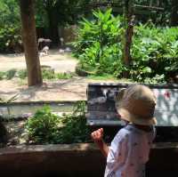 NIGHT SAFARI จ.เชียงใหม่