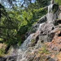 【中国/青島/信号山公園】