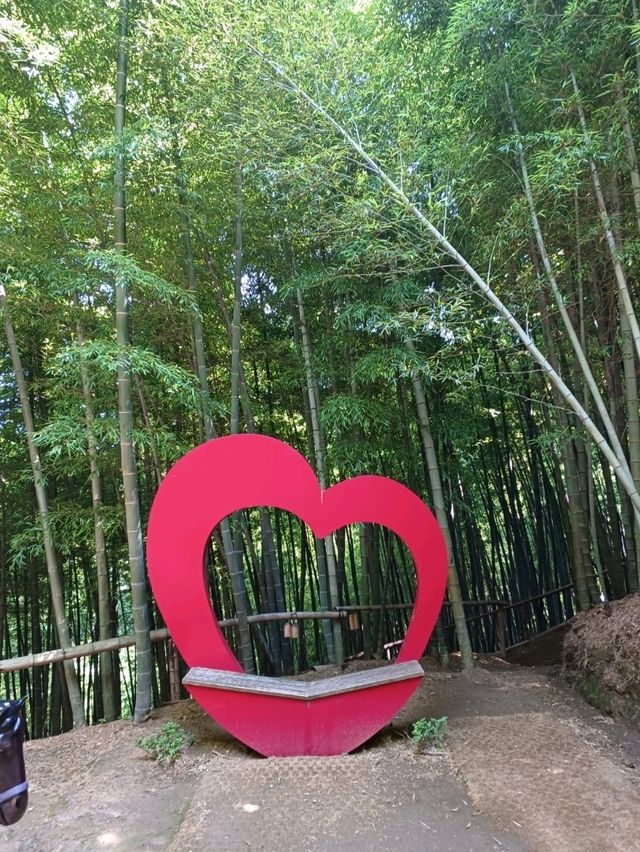 대나무숲 속 힐링 산책