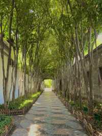 Yangzhou Ge Garden｜A Hidden Gem That Lives Up to National Geographic’s Hype