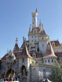 Tokyo Disneyland 🏰