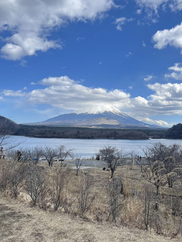 ชมวิวภูเขาไฟฟูจิที่ Lake Shoji 🗻