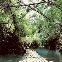 *Xianning: Hot Springs & Bamboo Seas in Hubei Province