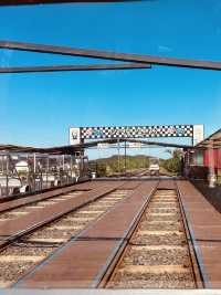 A Cost-Effective Group Adventure on Jeju's Rails