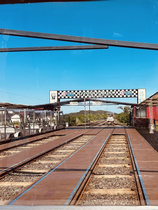 A Cost-Effective Group Adventure on Jeju's Rails