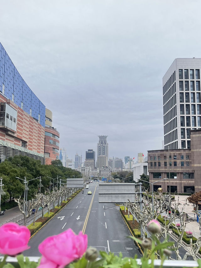 Mingzhu roundabout @ Shanghai