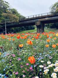Kurihama Flower World in Yokosuka🌸🌹💐🌺🌷