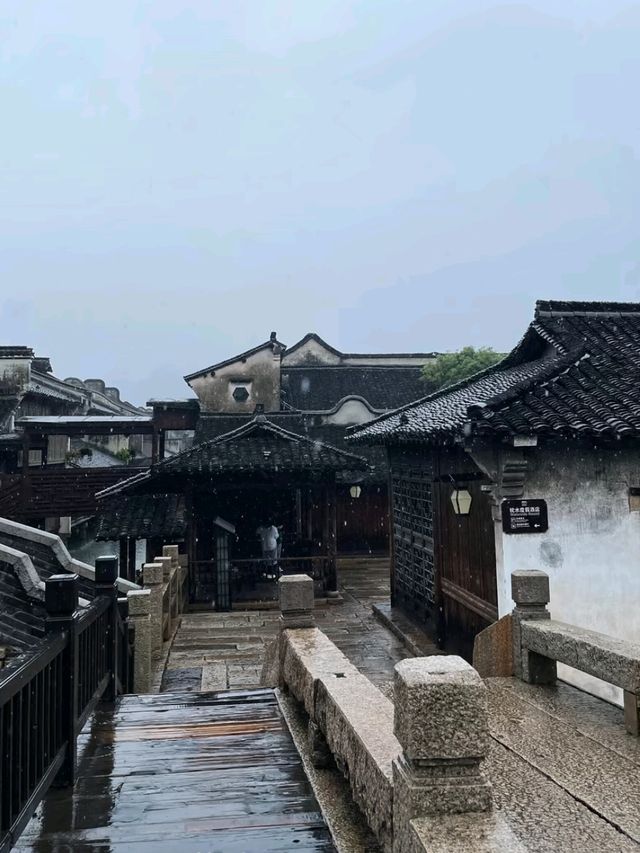 Wander the Waterways of Wuzhen
