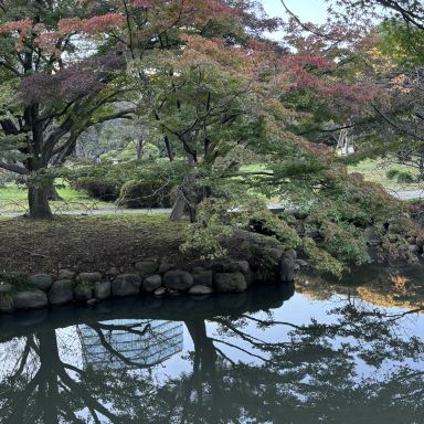 🌼 2025年 -2026 年、新宿御苑「菊花壇展」 2024来訪記 | Trip.com 東京