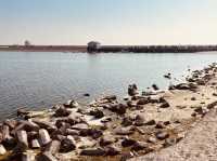 Family-Friendly Fun and Recreational Activities