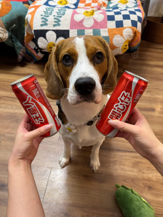 Snoopy 迷不能錯過的7-11！