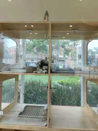 Tagnimal Cafe