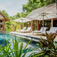 Sacred Stillness in the Rainforest