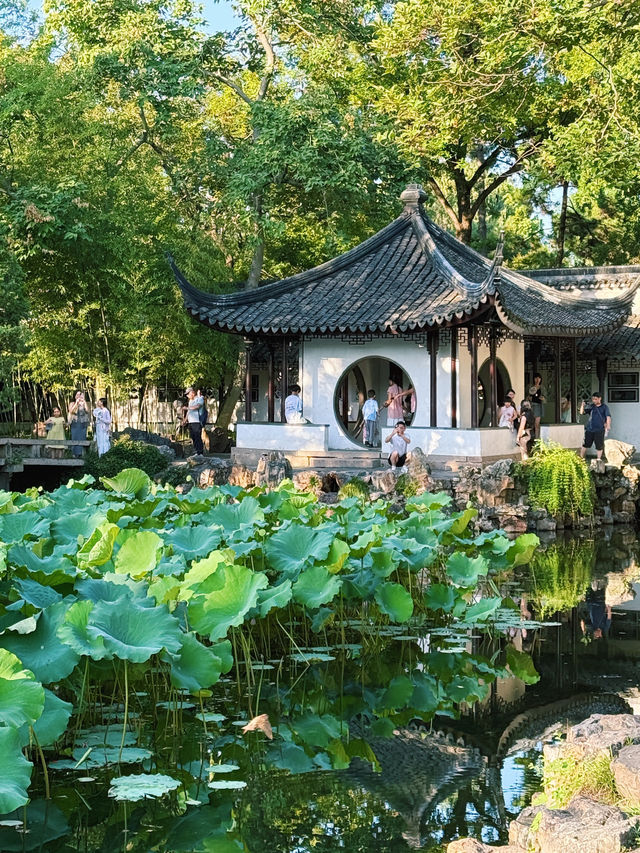水の街、蘇州の風景🌿🧊