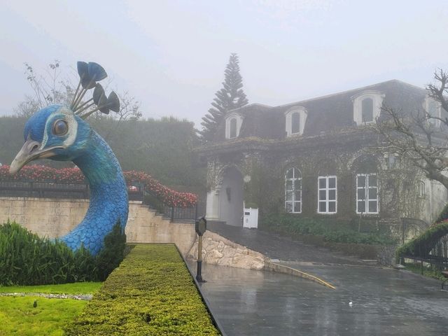 Fun filled day at Ba Na Hills