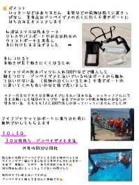 フェリーで行く ボホール島 発着ツアー