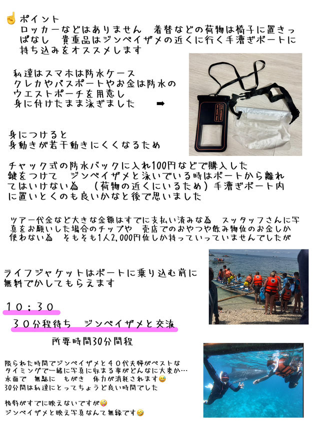 フェリーで行く ボホール島 発着ツアー