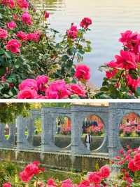 Yu Garden: Kunming's Hidden Jewel of Tranquility