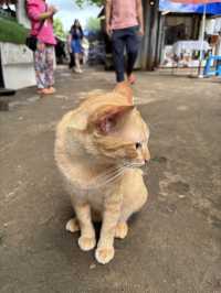 กาญจนบุรี