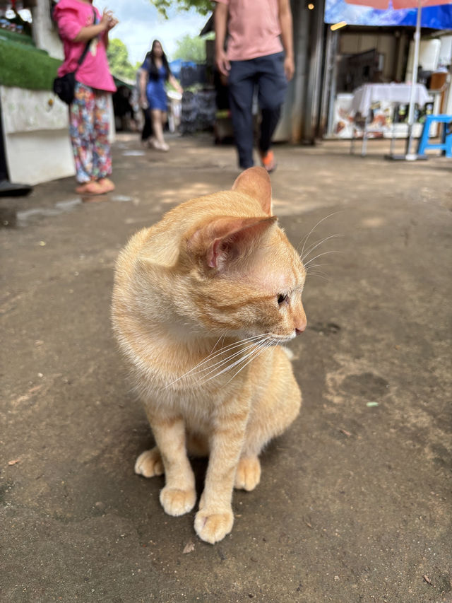 กาญจนบุรี