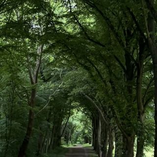 穆東森林公園 – 巴黎門前的綠色逃逸地