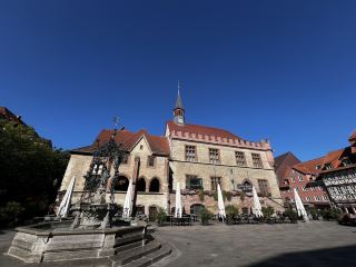 Thoughts on the Goose Girl Statue in Göttingen