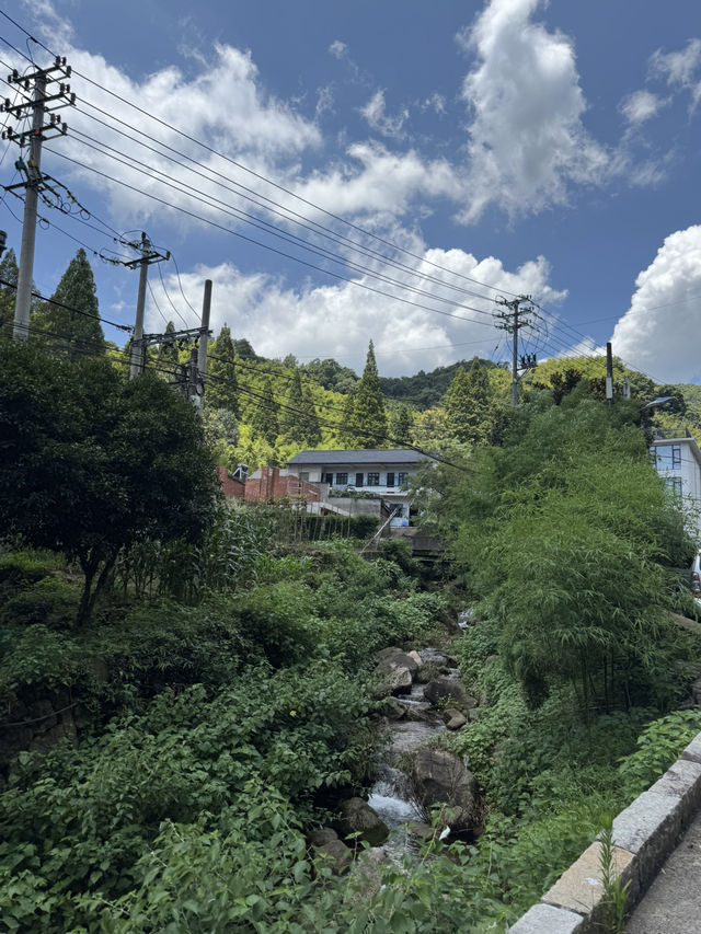 Trekking in beautiful Moganshan mountain 莫干山