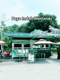 Paya Indah Discovery Wetlands: A Natural Escape with Wildlife Wonders