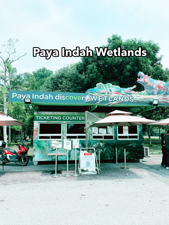 Paya Indah Discovery Wetlands: A Natural Escape with Wildlife Wonders