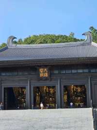 Tsz shan monastery สถานที่ไม่ควรพลาดในฮ่องกง