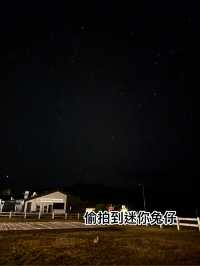 教你24個鐘頭玩轉tekapo ，港女係時間管理大師