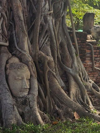 [ประเทศไทย] 3 สถานที่ท่องเที่ยวสำคัญของอยุธยา