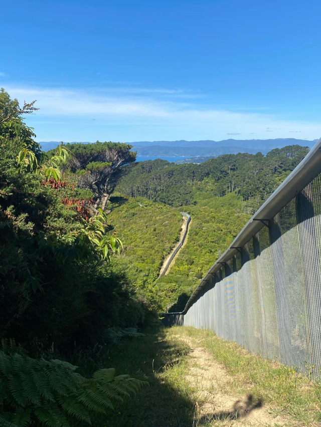 Revolving Around the Beauty of Nature: Wildlife & Conservation – New Zealand 