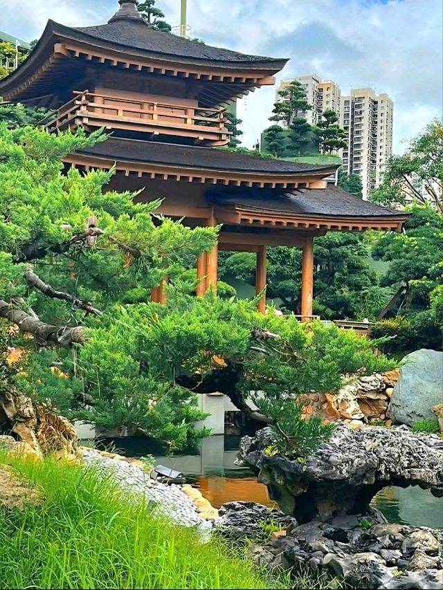 A Slice of Tranquility: Nan Lian Garden in Hong Kong A Slice of Tranquility: Nan Lian Garden in Hong Kong