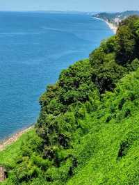 🌿 Batumi Botanical Garden – A Green Paradise by the Black Sea