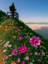 กิ่วแม่ปาน ปานสวรรค์