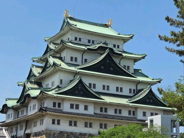 4日3夜短遊名古屋🍣 4日3夜短遊名古屋🍣