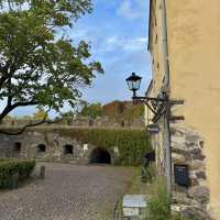🇫🇮ヘルシンキの海中宝島、歴史と冒険の楽園！ 🏰✨