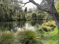 5 Days in Christchurch