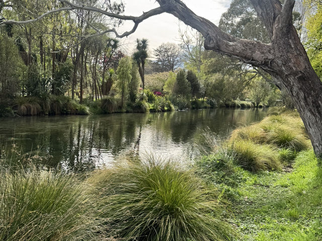5 Days in Christchurch